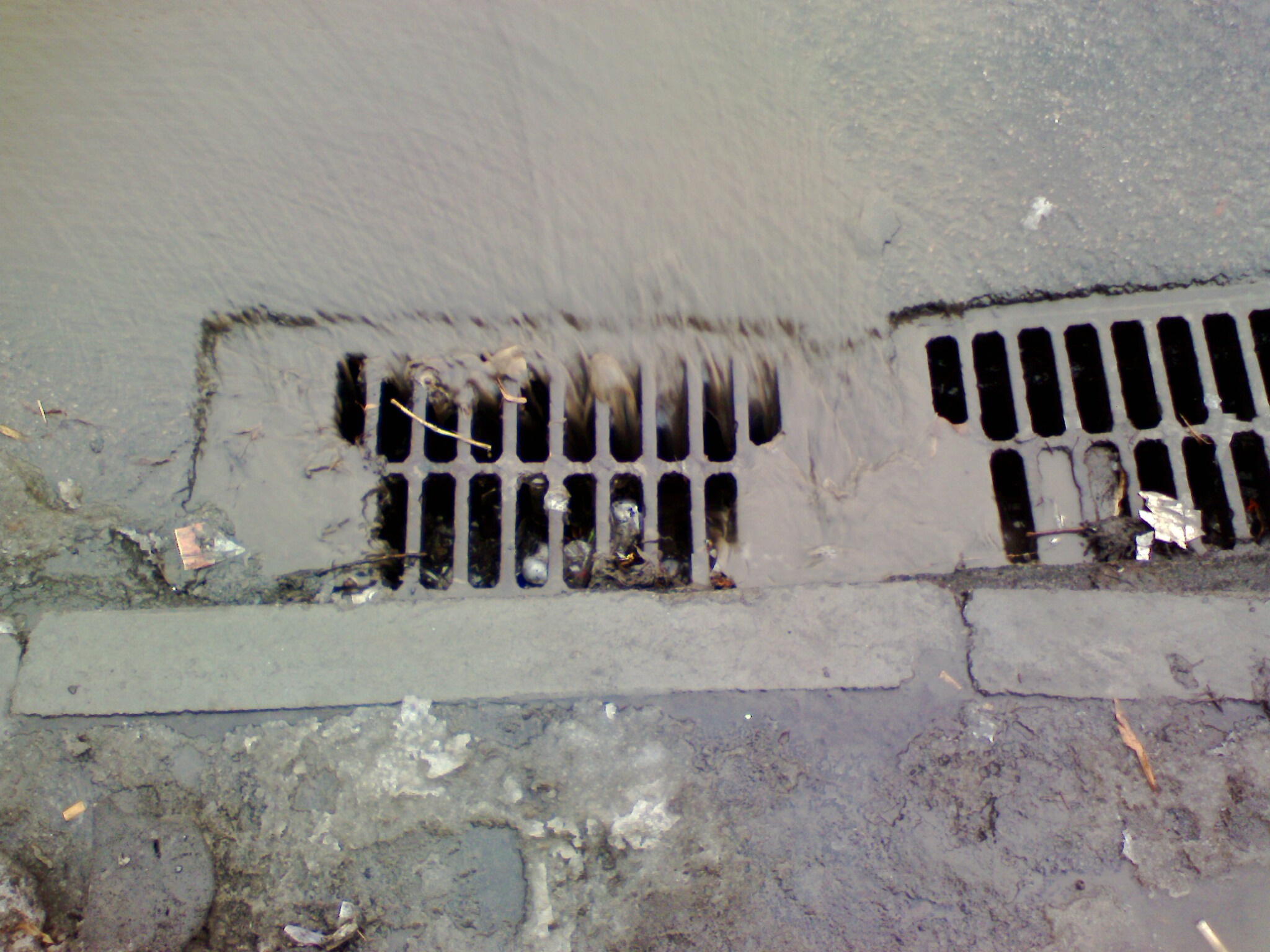 avoid stormwater pollution